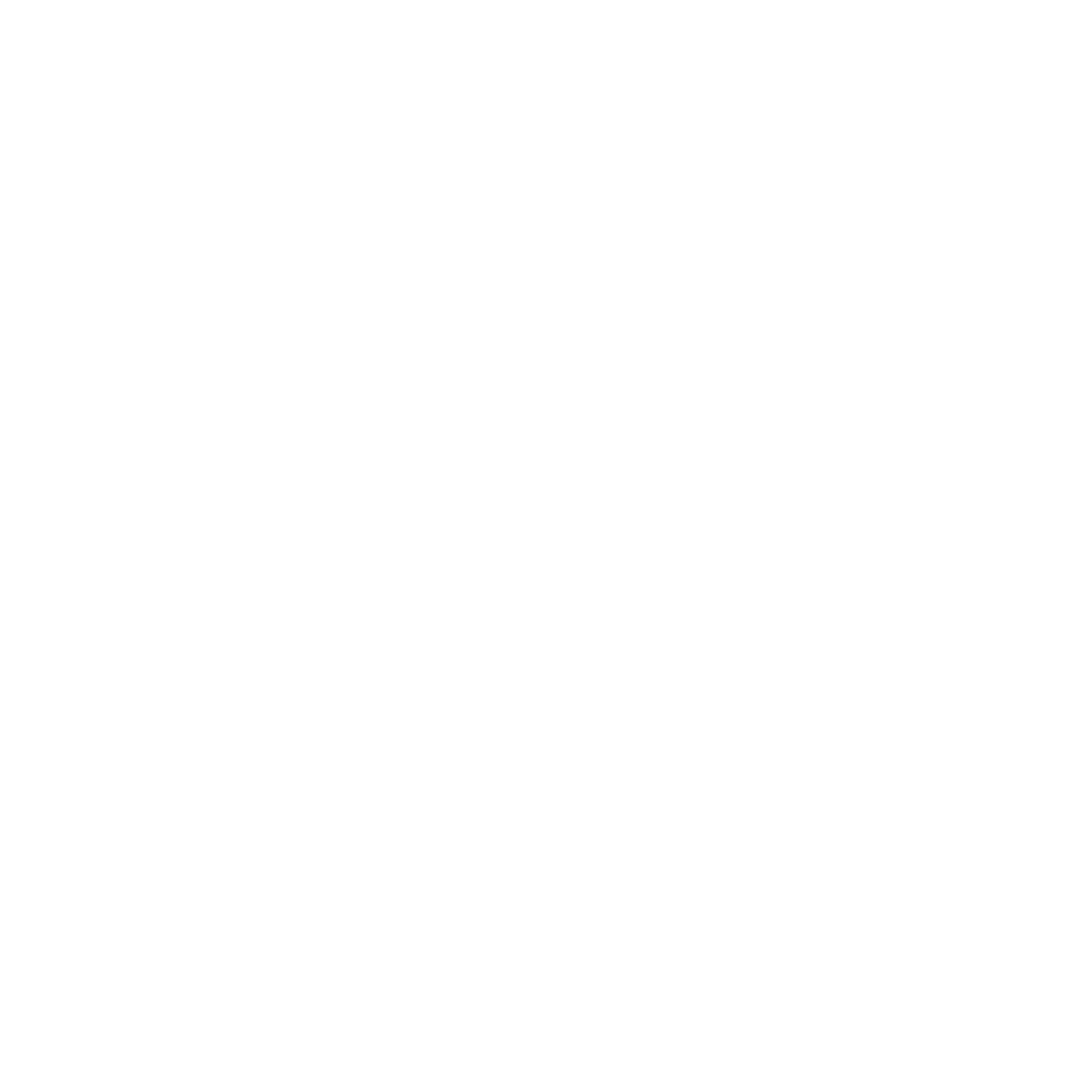 stelma logo